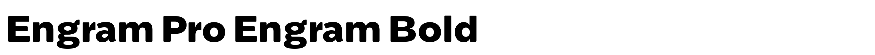 Engram Pro Engram Bold